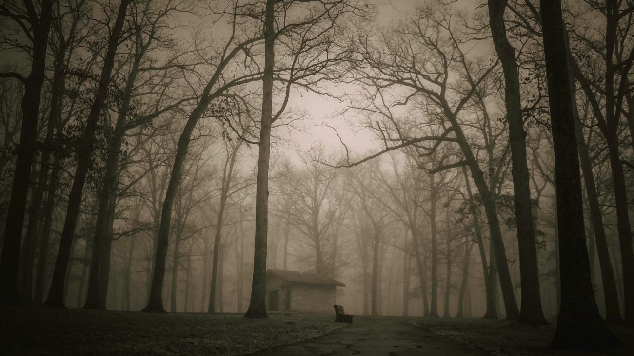 Darkness Of The Woods - Haunting Mysteries From Around The World